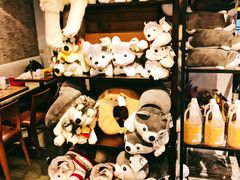 -TrueLove @ Neverland (Husky Cafe)