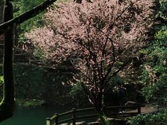-南漈山