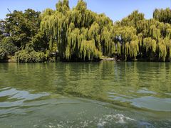 -济南大明湖景区