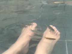 -青岛海泉湾度假区温泉