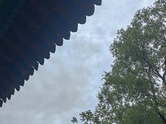 -王顺山国家森林公园