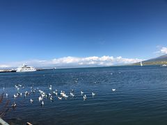 -青海湖二郎剑景区