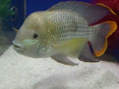 -洛阳龙门海洋馆