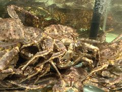 -万龙洲海鲜(大兴绿地缤纷城店)