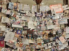 -玛格萝妮比萨屋(四平店)