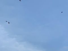 -硗碛藏寨·神木垒景区