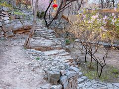 -井塘古村