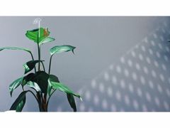 大堂-双风车咖啡馆 Twin Windmills(六道口店)