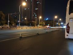 -桃花堤公园