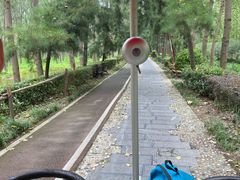 -合肥滨湖国家森林公园