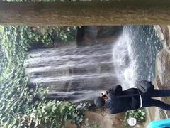 -南山植物园