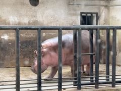 -石家庄市动物园