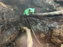 -广州长隆飞鸟乐园