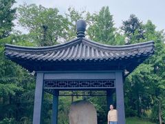-宜兴龙背山森林公园
