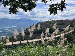 -仙岛湖旅游风景区