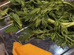 -金鼎雪山牦牛杂火锅(理县总店)