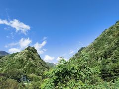 -秦岭风景区