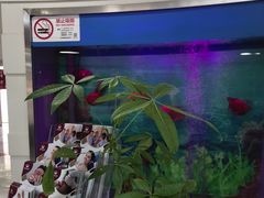 -雅悦齿科(顾村公园店)