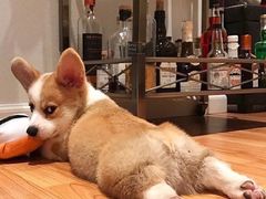 -一代烤翅王(大汉口店)