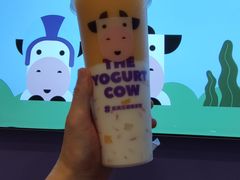 -一只酸奶牛(兰州中心店)