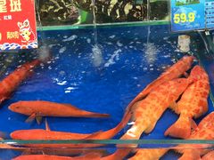 -东江海鲜酒家(艺都分店)