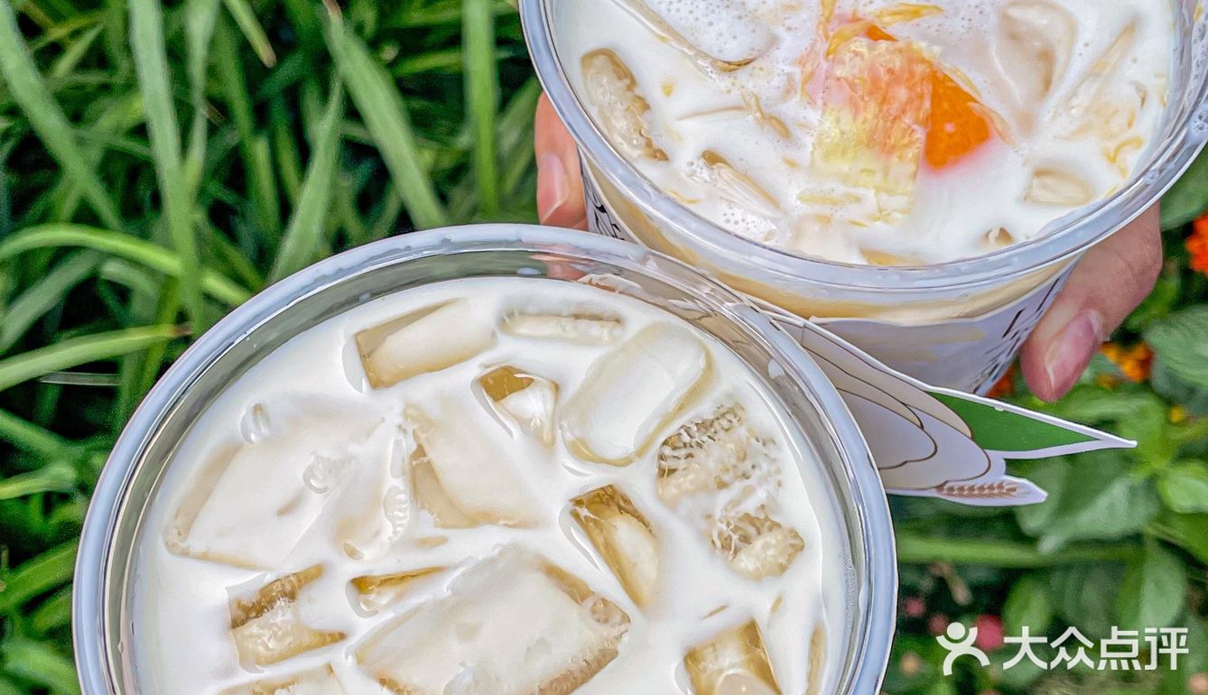 书亦又上新了！橙漫山茶花浪漫到犯规🌸