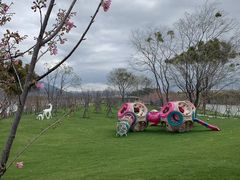 -福建鲤鱼洲酒店