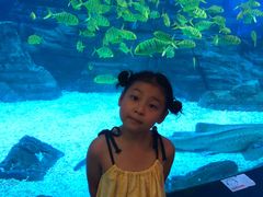 -烟台海昌鲸鲨海洋公园