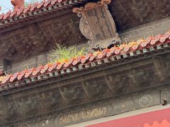 -北陵公园
