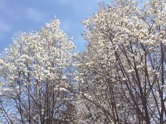 -玖鲜小笼(中山广场店)