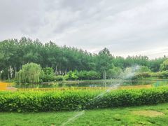 -仁和公园(顺义区)