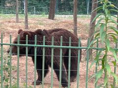 -秦皇岛野生动物园