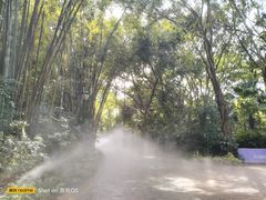 -广州长隆欢乐世界