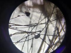 -辛巴宠物医疗中心·骨科·内分泌专科·心肾专科(亭林公园店)