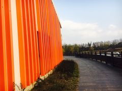 -上海长兴岛郊野公园