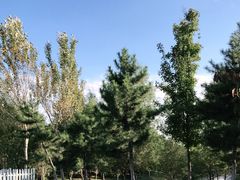 -莫子山公园