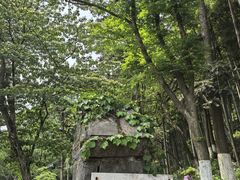 -莫干山风景区