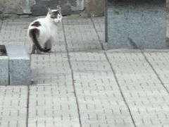 -四门塔风景区