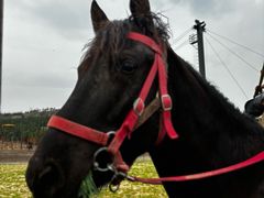 -函谷关历史文化旅游区