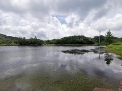 -海南热带雨林国家公园吊罗山景区