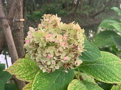 -前小桔亲子创意农场·草莓采摘·露营烧烤
