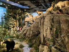 -陕西自然博物馆