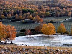 -塞罕坝国家级自然保护区
