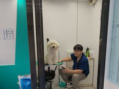 -博特宠物医院24h犬猫全科.骨科·异宠