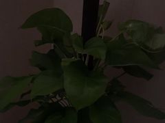 -水云间水疗会馆(福强路店)