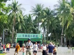 -万绿园