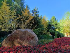 -长白岛森林公园