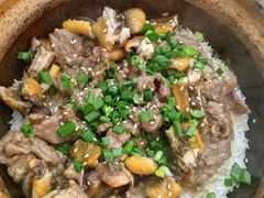 -红星光发煲仔饭(大石街店)