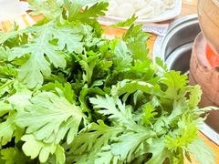 -蔡记·九米羊肉炉(东渡店)