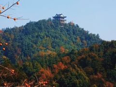 -云碧峰国家森林公园